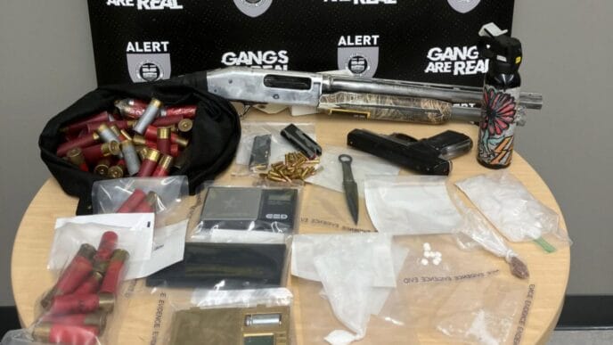 ALERT-DRUGS | Meridian Source