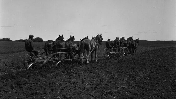 Ploughing - Lloydminster
Credit: LAC, R231-1653-6-E, item number 3517732. | Meridian Source