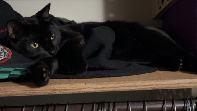 Christian-Jonah | Meridian Source