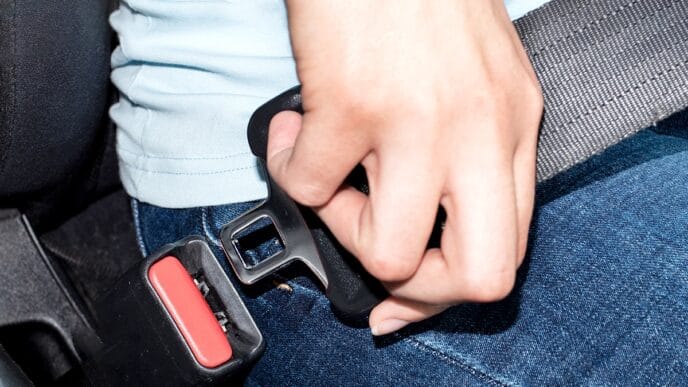 File-Buckle-Up | Meridian Source