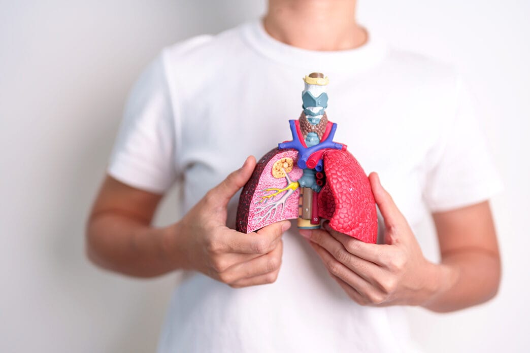 Woman,Hold,Smoker,Anatomy,For,Disease.,Lung,Cancer,,Asthma,,Chronic | Meridian Source