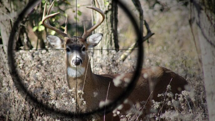 File-Hunting-Draw | Meridian Source