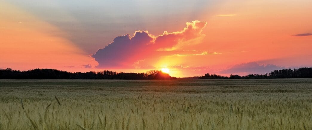 File-Sask-Sunset | Meridian Source