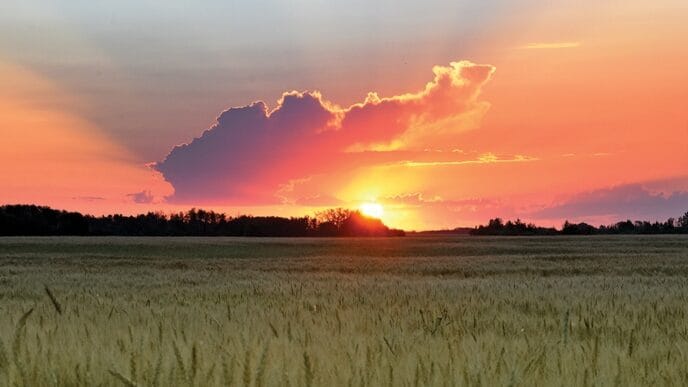 File-Sask-Sunset | Meridian Source