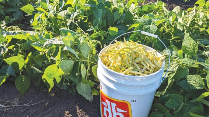 GAR-2022-1.2 | Meridian Source