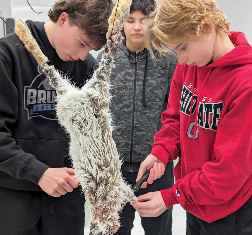 GL-cross-cultural | Meridian Source