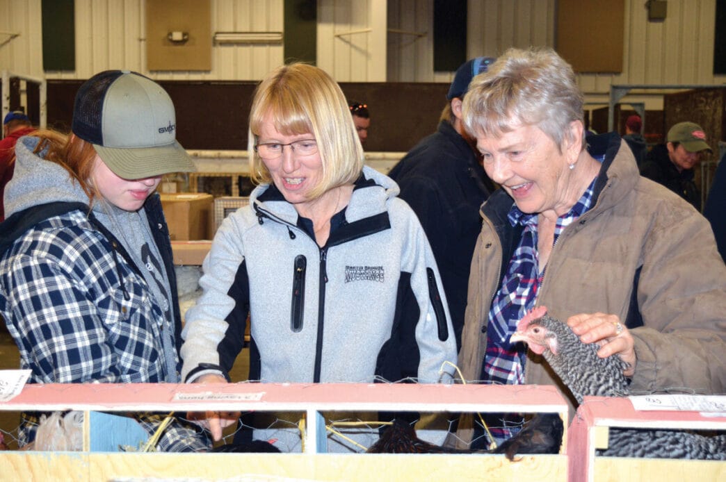 GL-exotic1new | Meridian Source