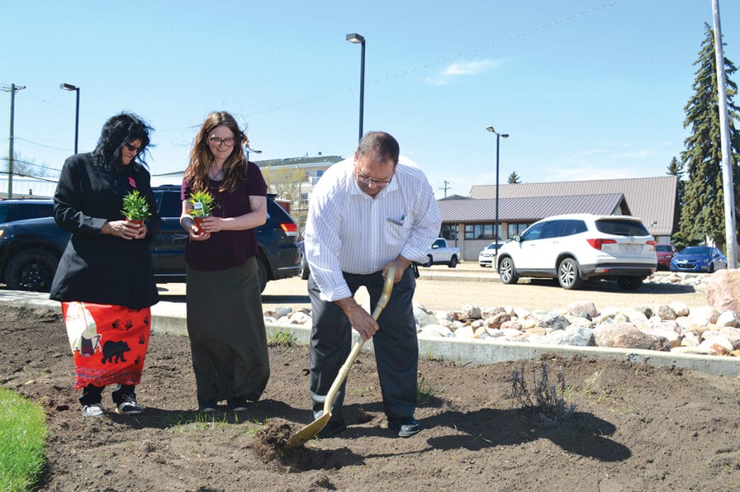 GL-garden.4 | Meridian Source