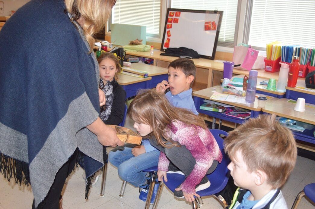 GL-metis-week.WEB_ | Meridian Source