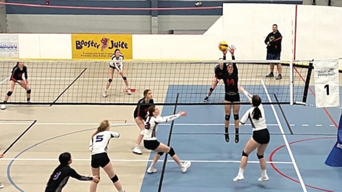 GL-momentum | Meridian Source