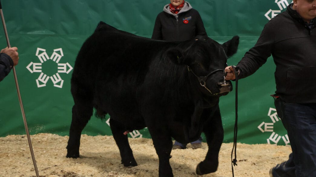 IMG_4573 | Meridian Source