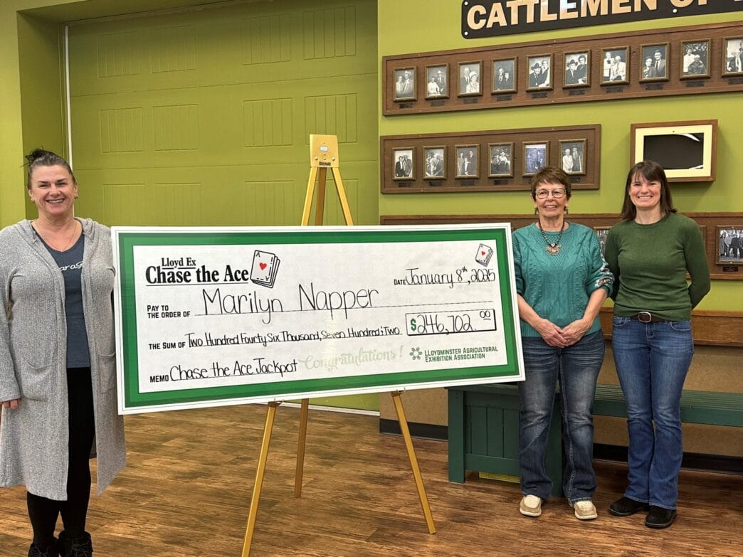 Napper-scaled | Meridian Source