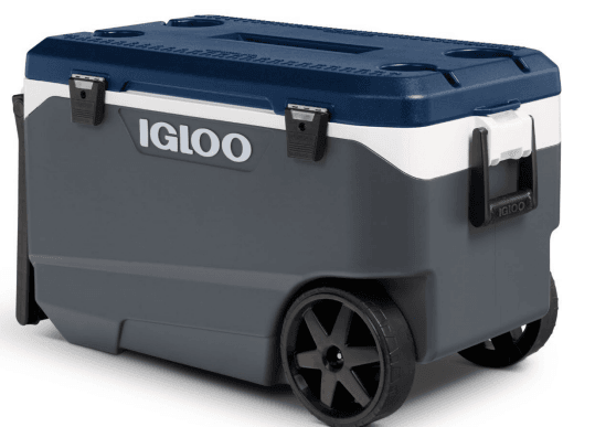 Picture1_0 | Meridian Source