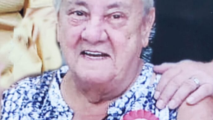 Rodh-V-web | Meridian Source