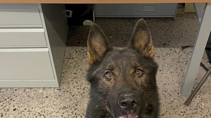 SUB-RCMP-Cocaine-bust | Meridian Source