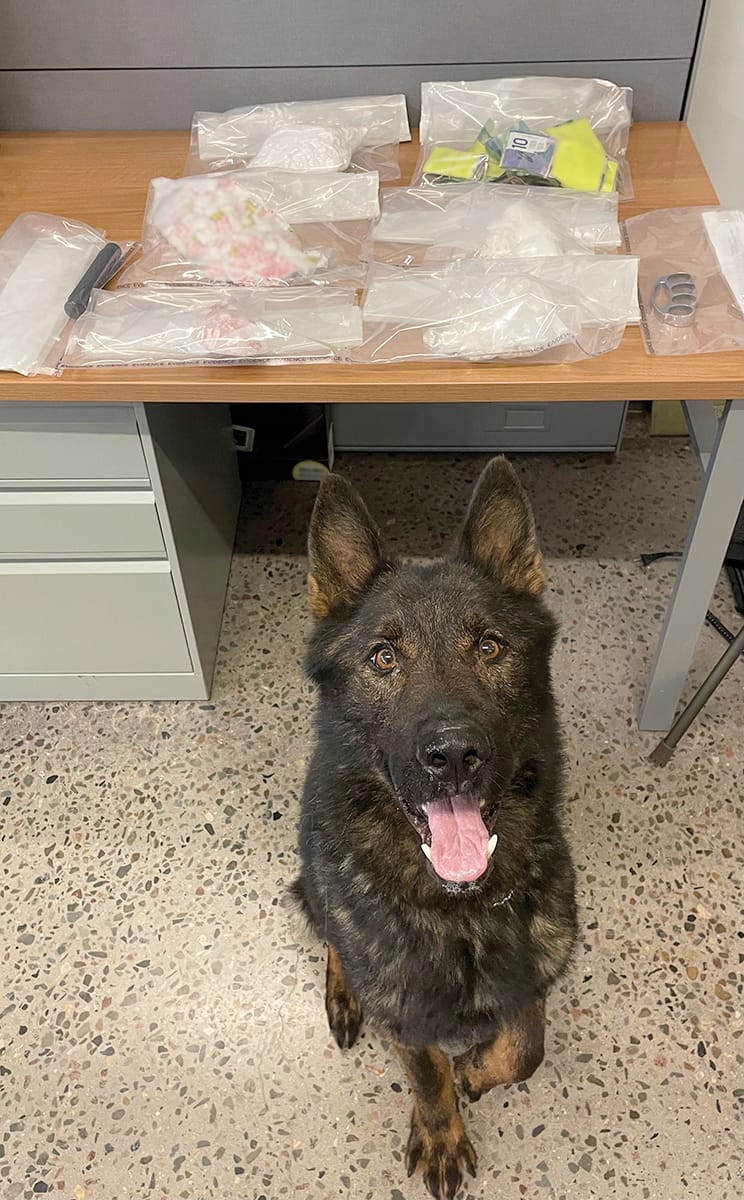 SUB-RCMP-Cocaine-bust | Meridian Source