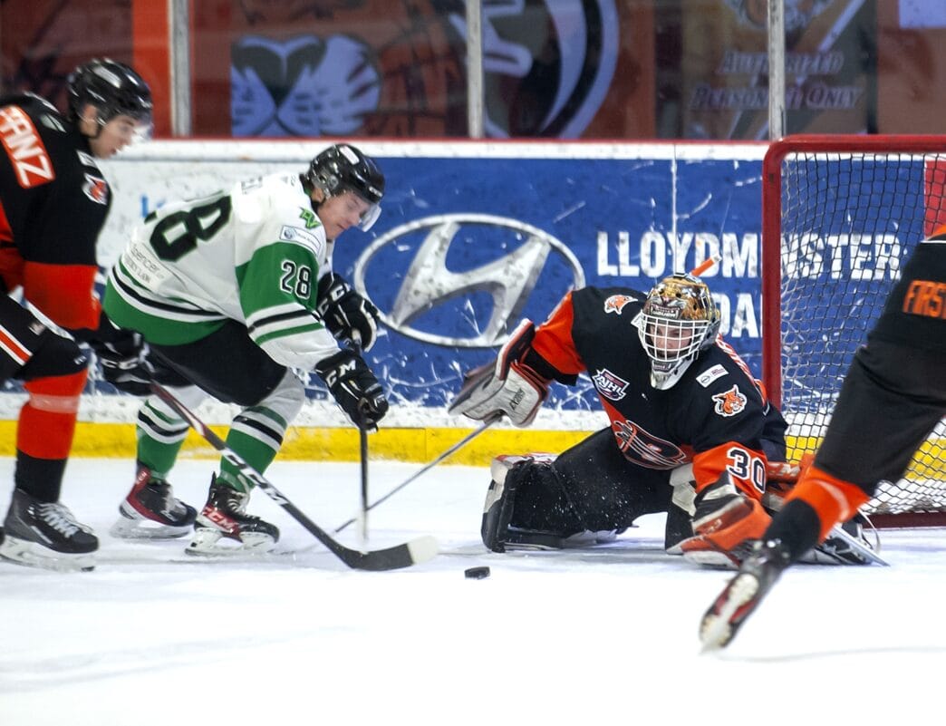 TW-Bobcats-Thunder.4.RGB_ | Meridian Source