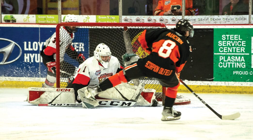 TW-Bobcats.Kodiaks.5 | Meridian Source