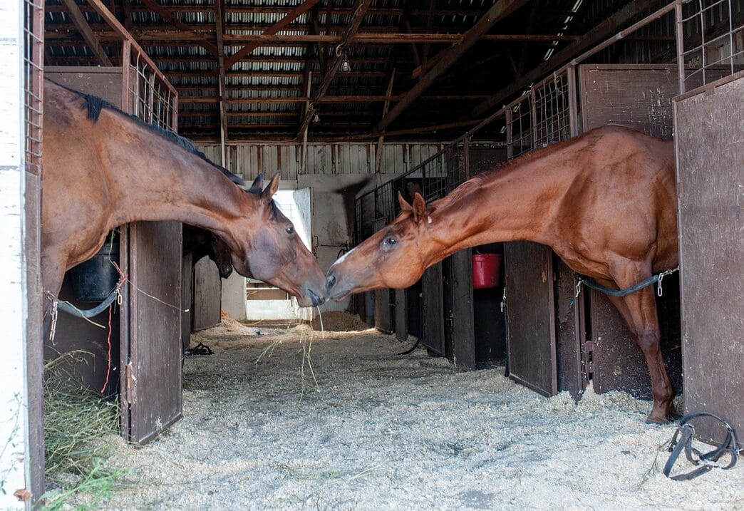 TW-CPCA.Finals.Barns_.2.WEB_ | Meridian Source