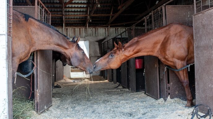 TW-CPCA.Finals.Barns_.2.WEB_ | Meridian Source