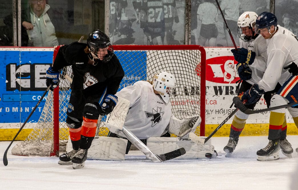 TW-Cats.Yaks_.Aug_.30.1 | Meridian Source