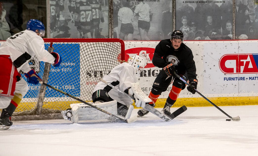 TW-Cats.Yaks_.Aug_.30.2 | Meridian Source