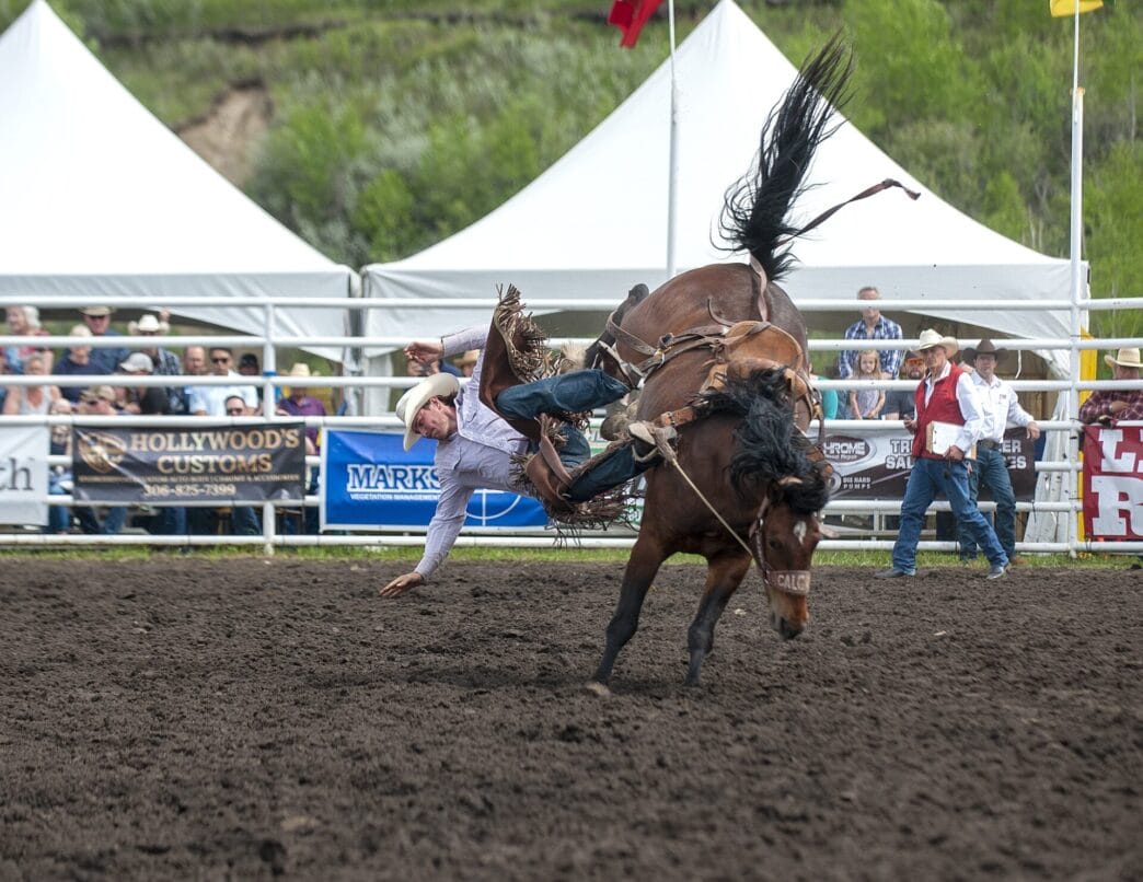 TW-Lea-Park-Rodeo.3 | Meridian Source