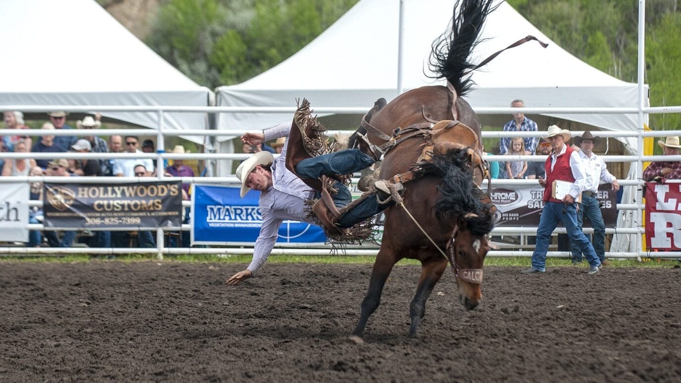 Bot Rodeo Manie Musicale wraps-up at St. Joseph’s | Meridian Source
