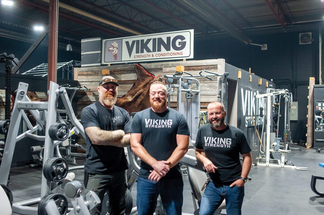 TW-Viking-expansion | Meridian Source