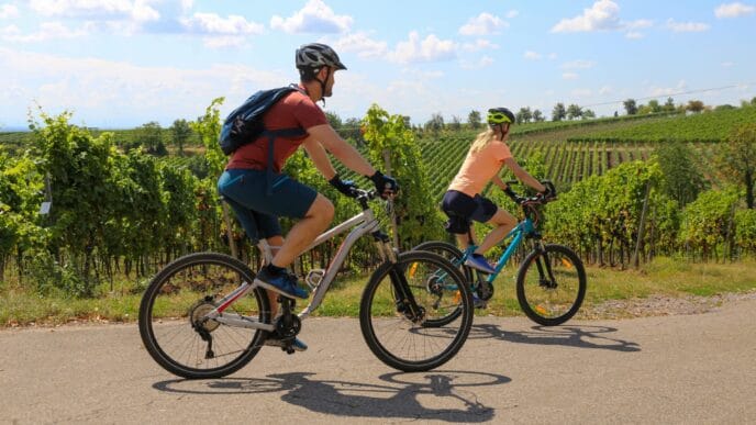 shutterstock_2452533345 | Meridian Source