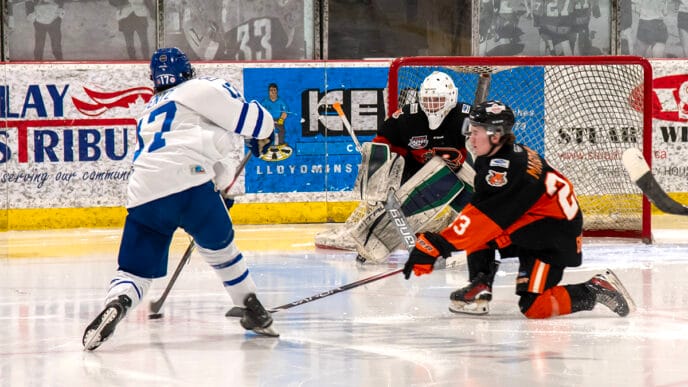 TW-Cats-Extreme1 | Meridian Source