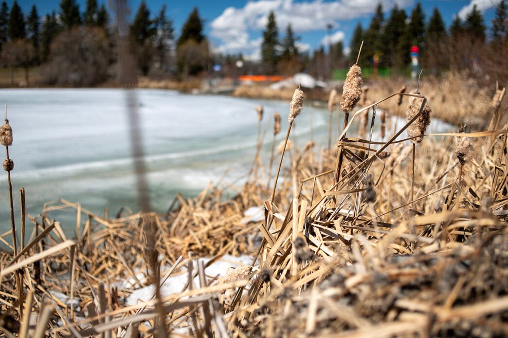 File-Stock-Weather2 | Meridian Source