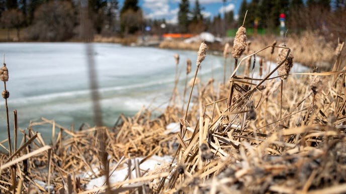 File-Stock-Weather2 | Meridian Source