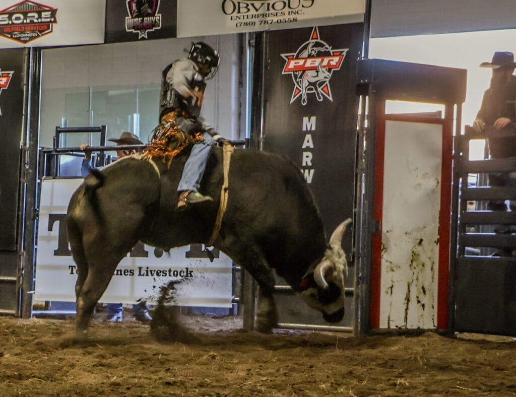 Marwayne Rink VIDEO: Marwayne rides high off PBR success