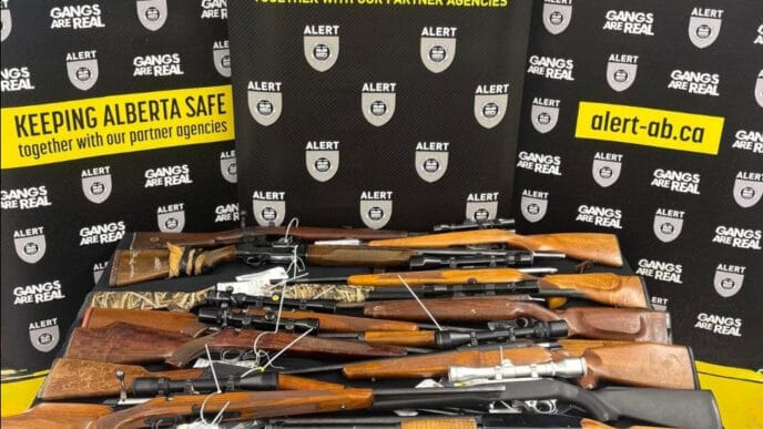 ALERT, Charges, Guns | Meridian Source