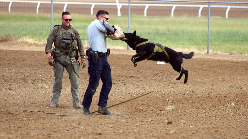 Christian - RCMP bite training 7WEB | Meridian Source