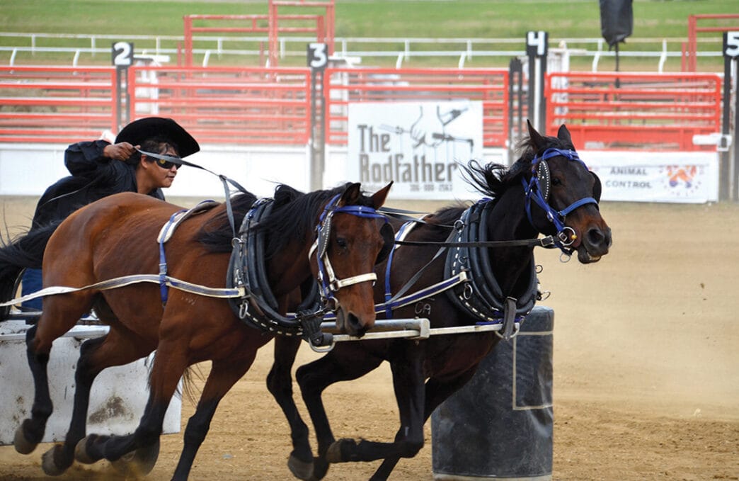 JM 0 OLCN Sports Day | Meridian Source