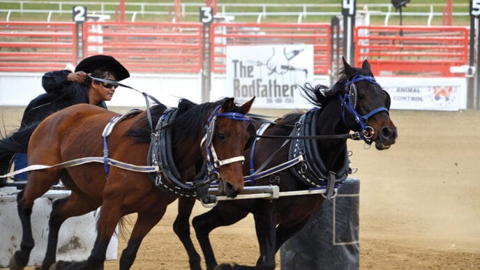 JM 0 OLCN Sports Day | Meridian Source