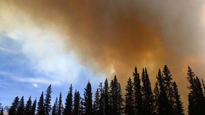a cloud of smoke Spreading Creek Wildfire 07-04-2014 close to t | Meridian Source
