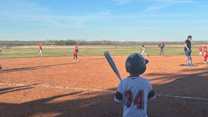 Sub - Vermilion Minor Ball | Meridian Source