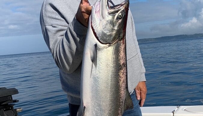 Adrian Mark Butcher | Meridian Source