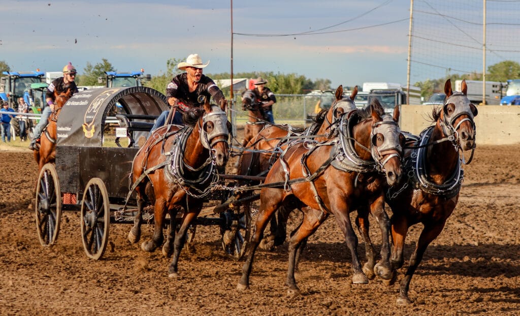 IMG_0039 | Meridian Source