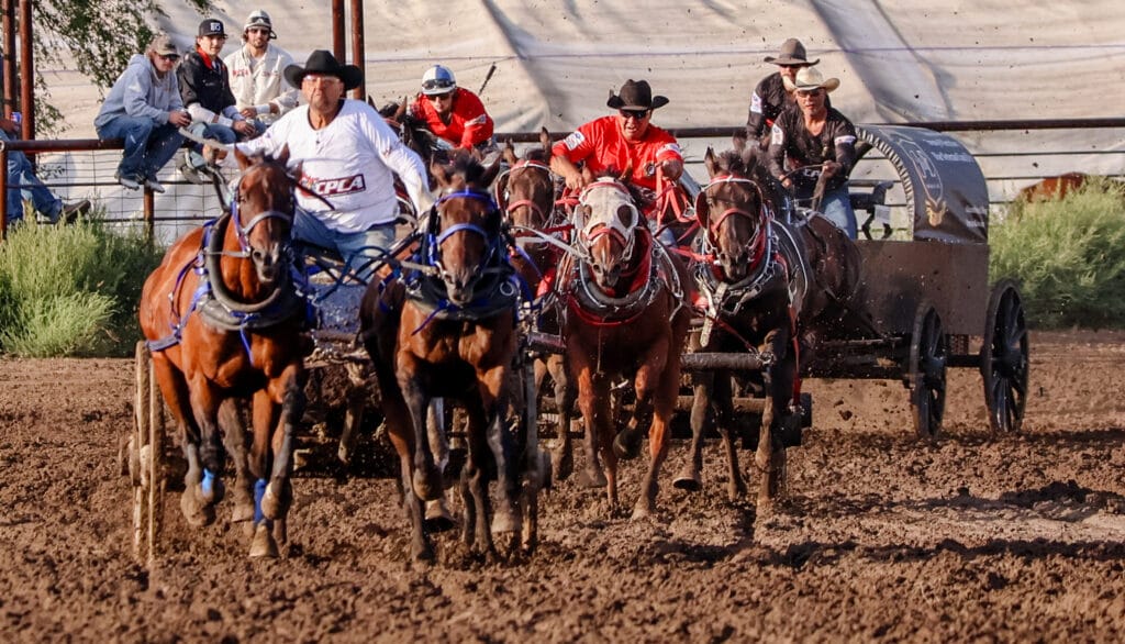 IMG_0109 | Meridian Source