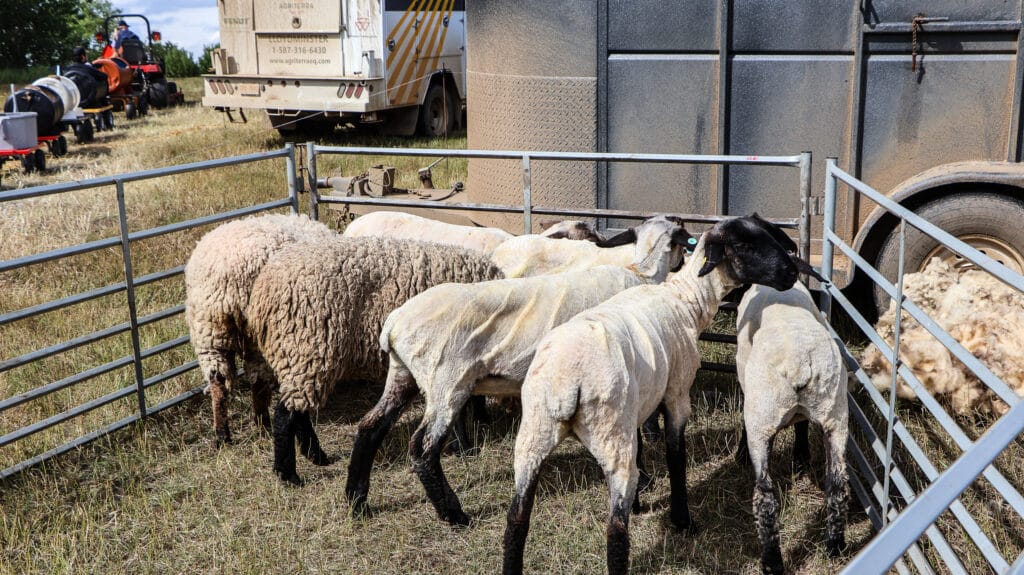 IMG_9649 | Meridian Source Open