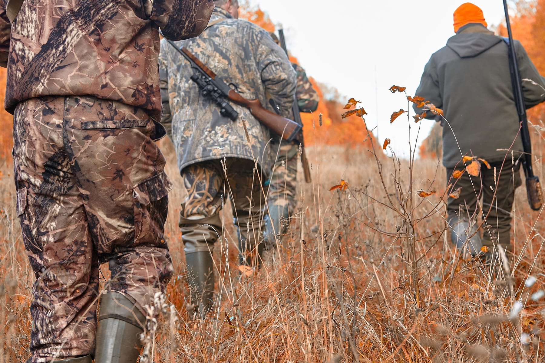 Hunter Management Saskatchewan restores CWD testing for hunters | Meridian Source