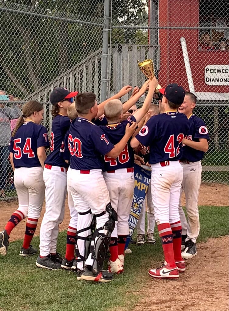 twins-2 | Meridian Source twins