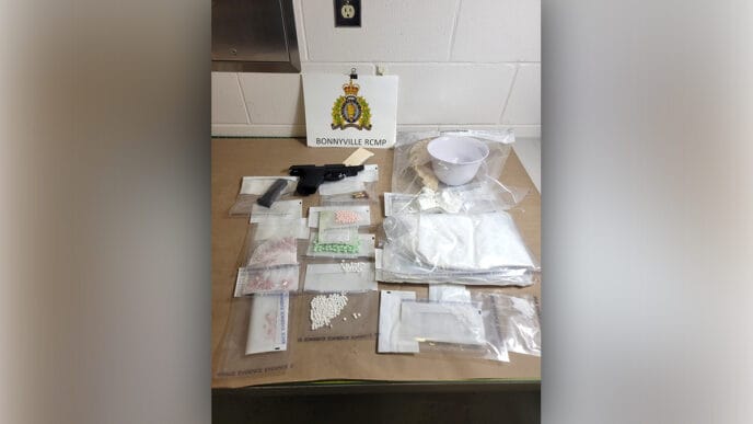 CDSA copy | Meridian Source