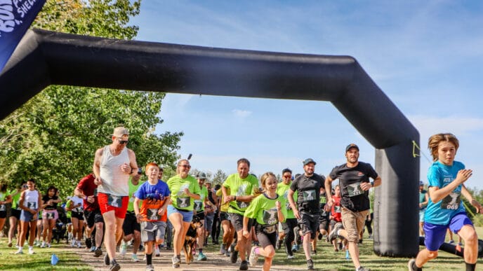 Run for Shelter | Meridian Source