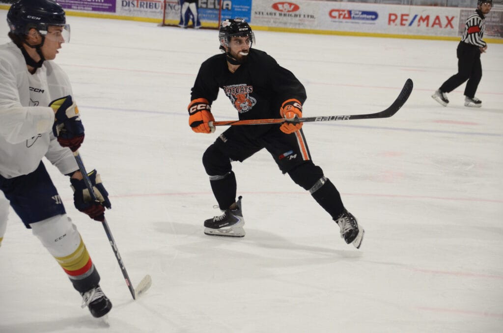 JM-Bobcats-El-TahhanWEB | Meridian Source civic