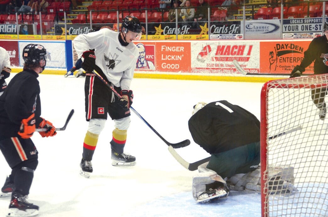 JM-bobcats-Pontiacs2 copy | Meridian Source